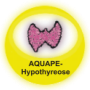 AQUAPE/Hypothyreose